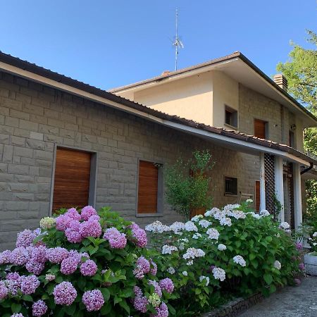 Peaceful Country Living At Apartments At Villa Clara Vimignano-Chiesa Экстерьер фото