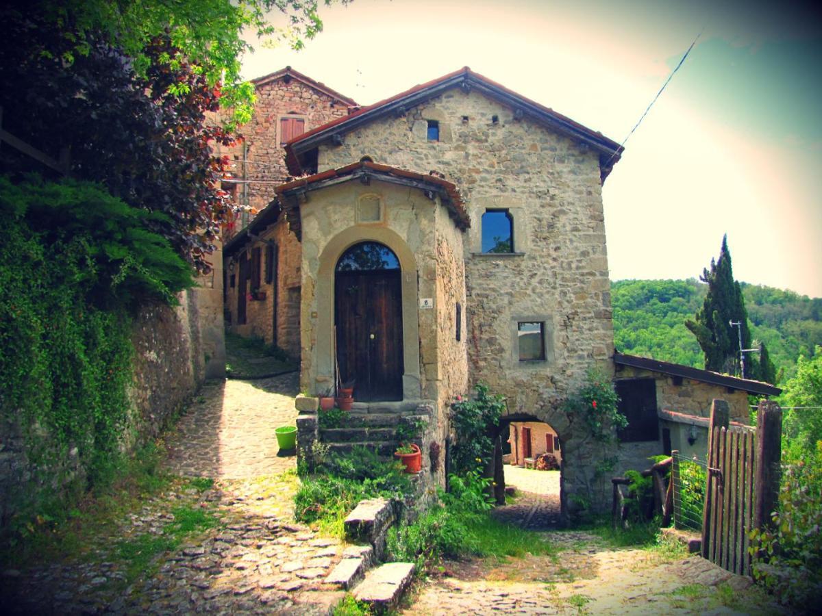 Peaceful Country Living At Apartments At Villa Clara Vimignano-Chiesa Экстерьер фото